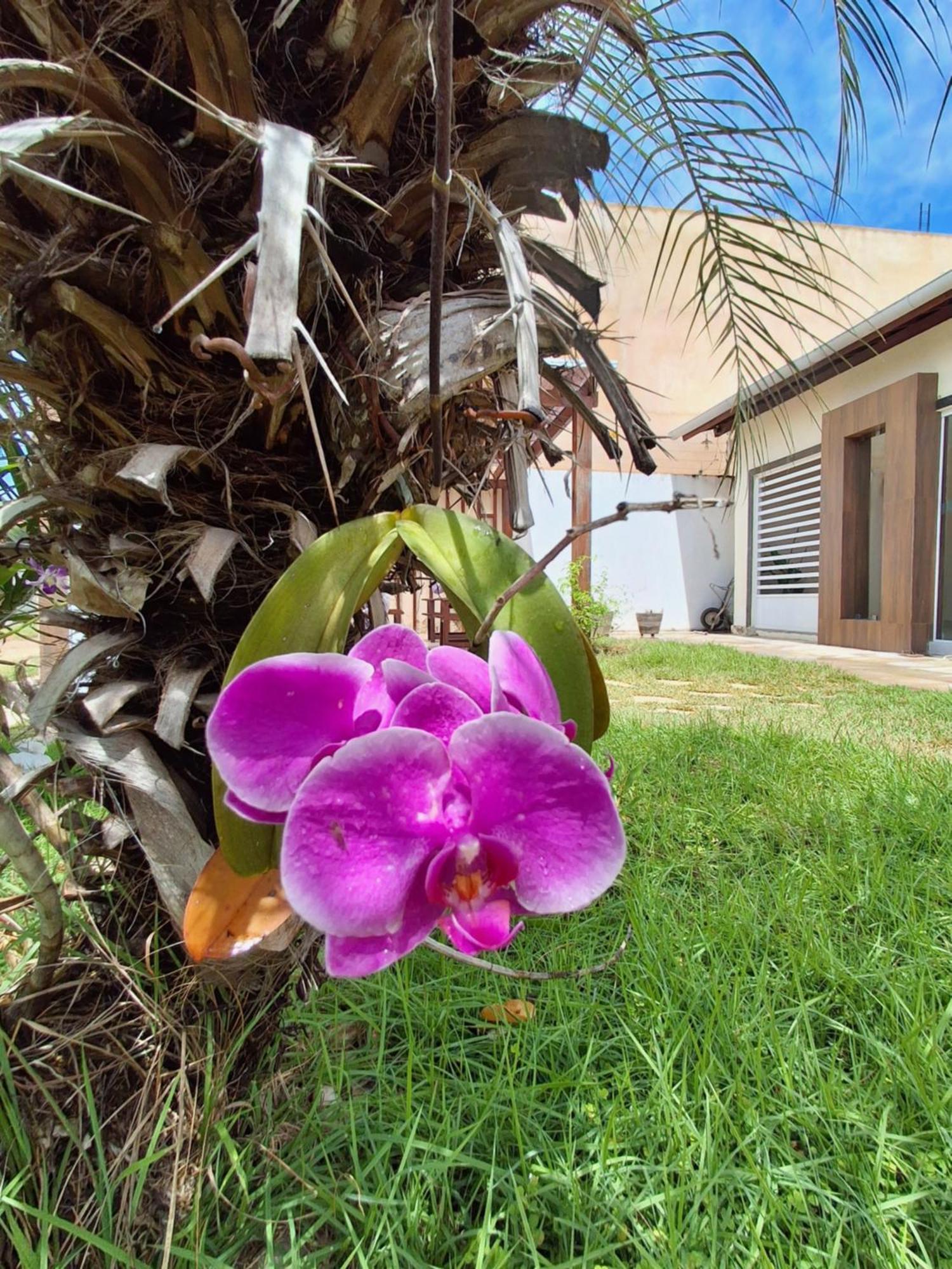 Casa Com Piscina Na Praia De Peroba マラゴージ エクステリア 写真