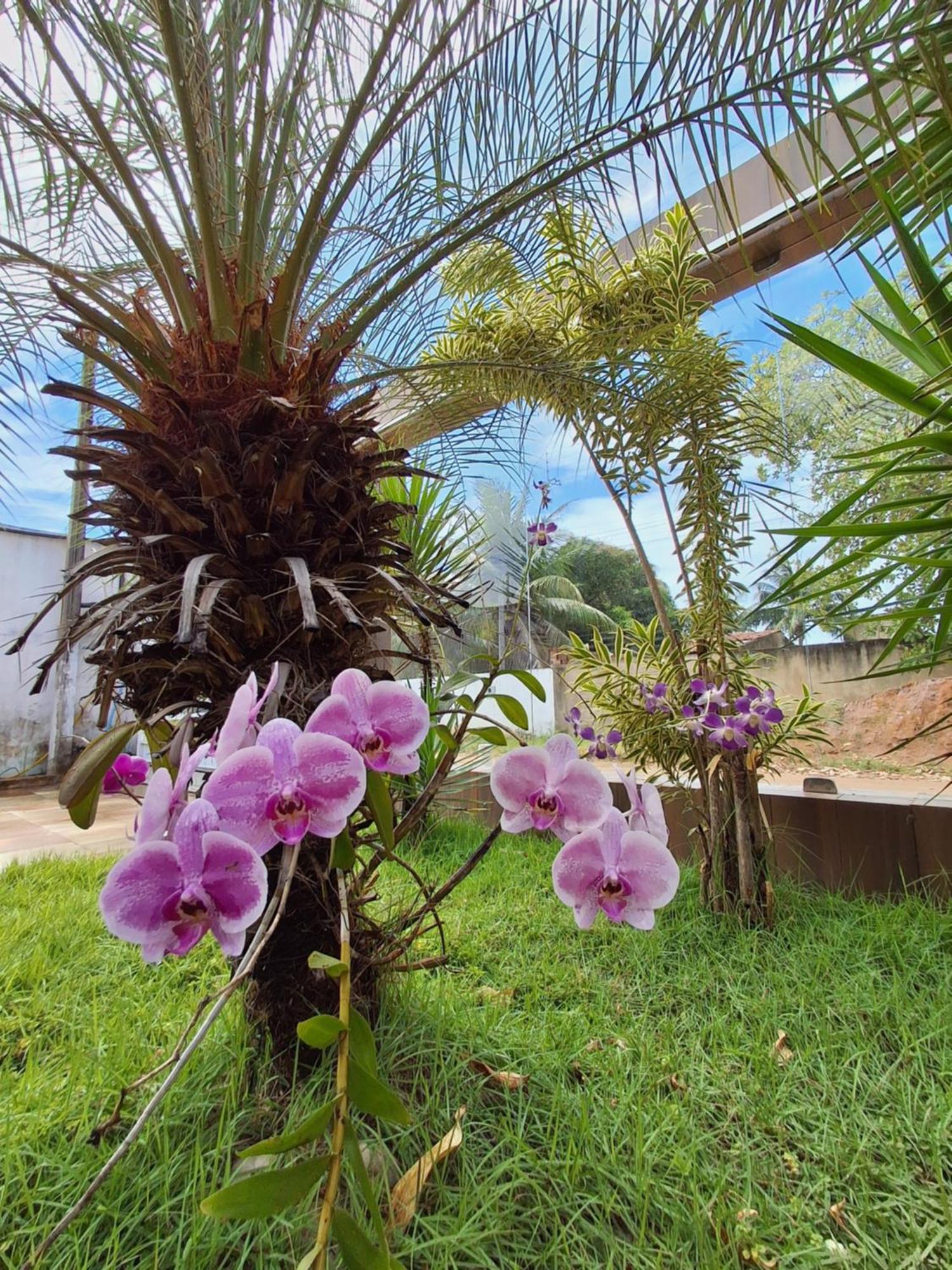 Casa Com Piscina Na Praia De Peroba マラゴージ エクステリア 写真